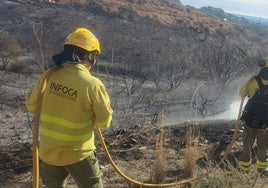 Incendio ocasionado por unos petardos en Las Lomas del Flamenco.