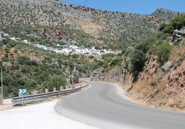 Carretera de acceso a Benaoján, un pueblo situado a los pies de la sierra de Juan Diego.