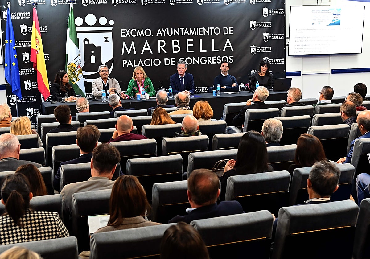 El reto de construir 6.500 viviendas libres y 2.200 de promoción pública en tres años en Marbella