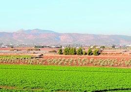 Hay cambios en cuanto a la incorporación de fotografías georreferenciadas.