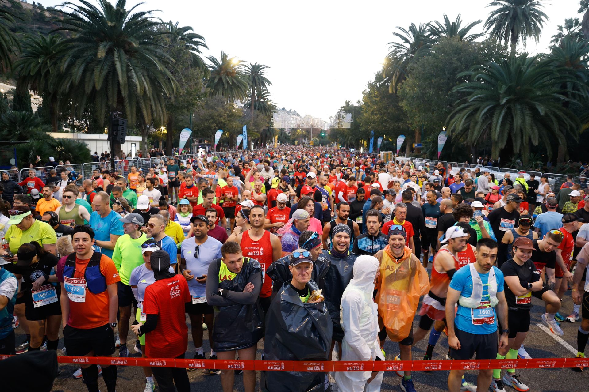 Las mejores imágenes del Generali Maratón de Málaga 2024