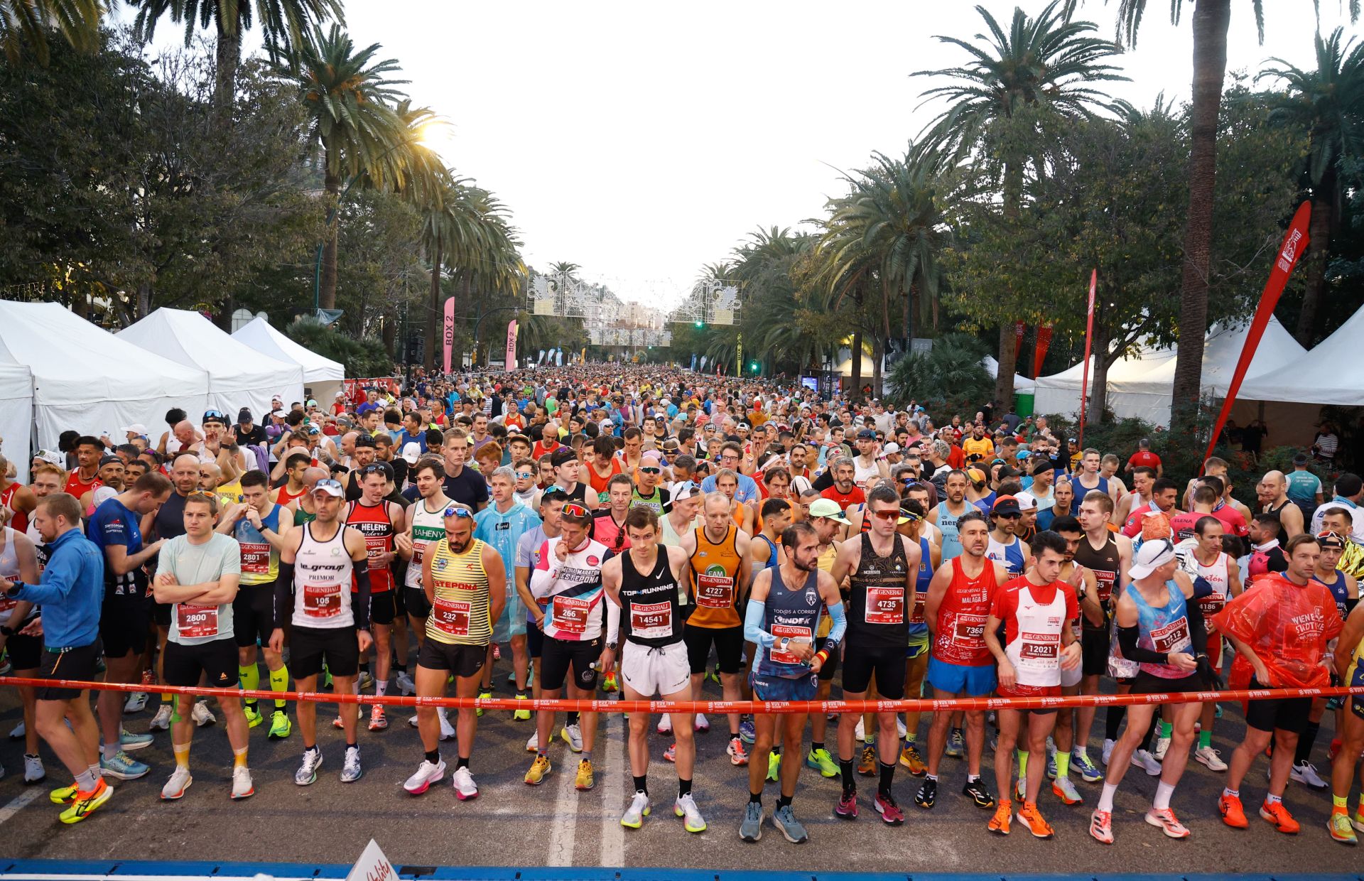 Las mejores imágenes del Generali Maratón de Málaga 2024