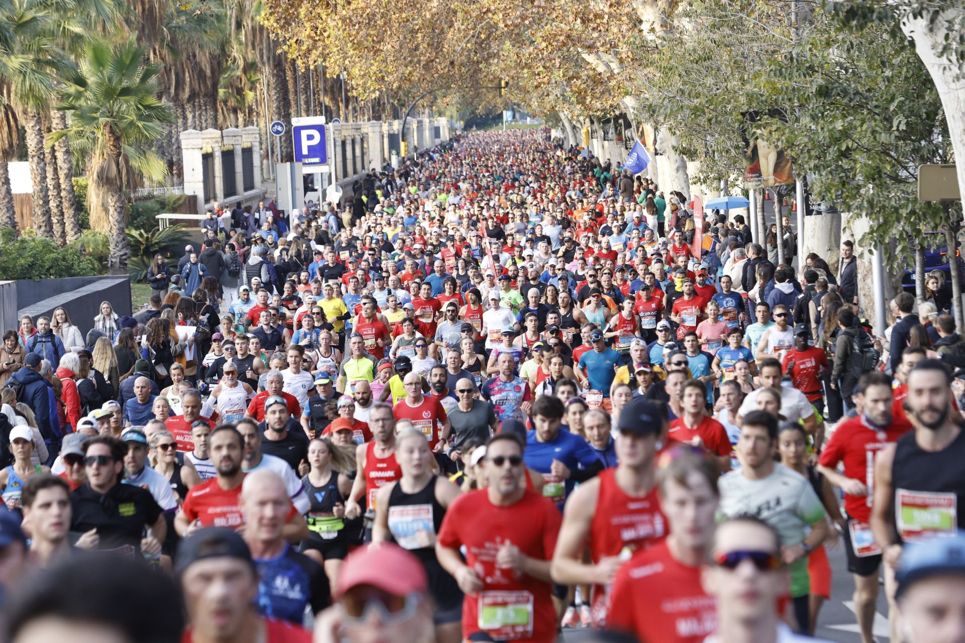 Las mejores imágenes del Generali Maratón de Málaga 2024