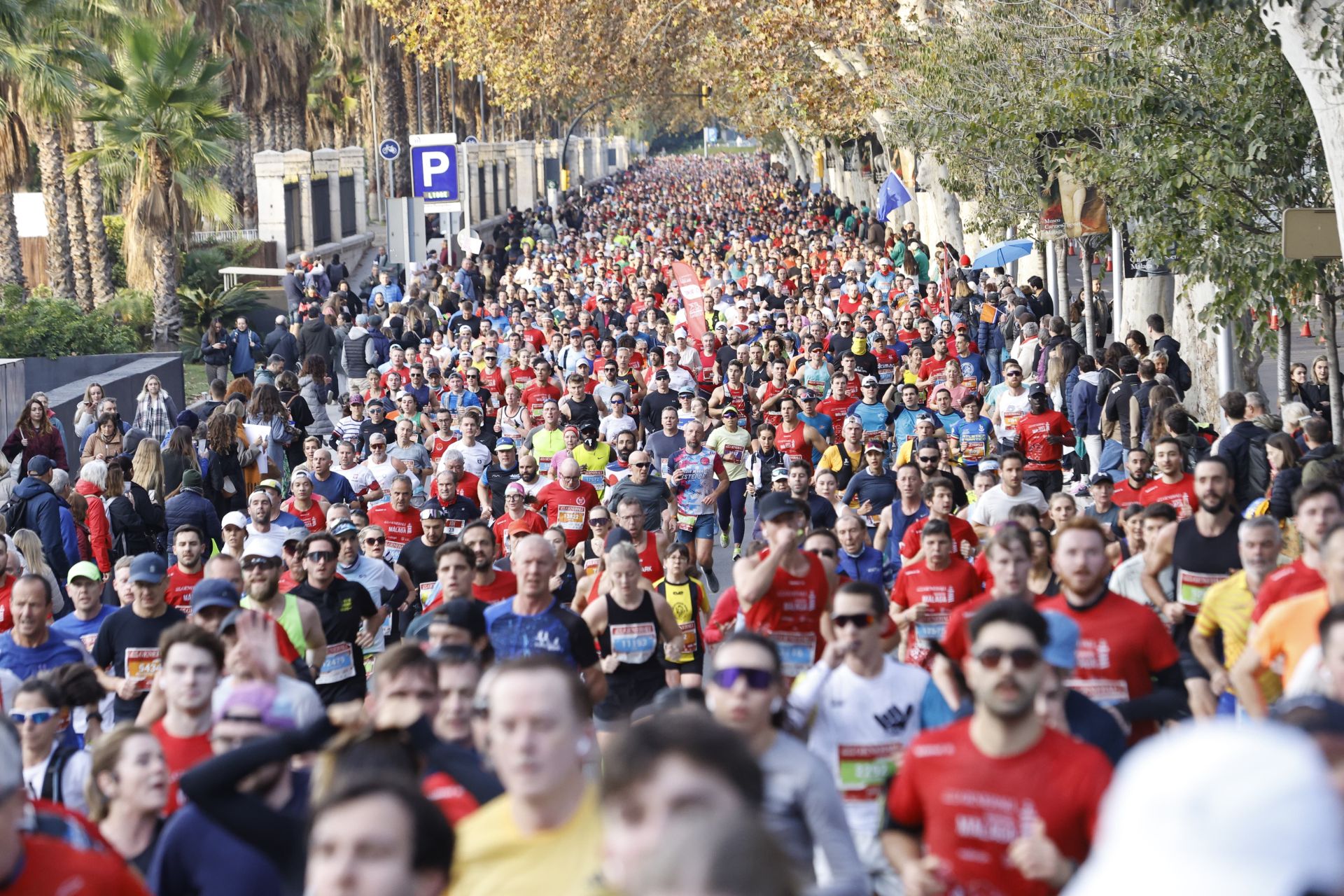 Las mejores imágenes del Generali Maratón de Málaga 2024