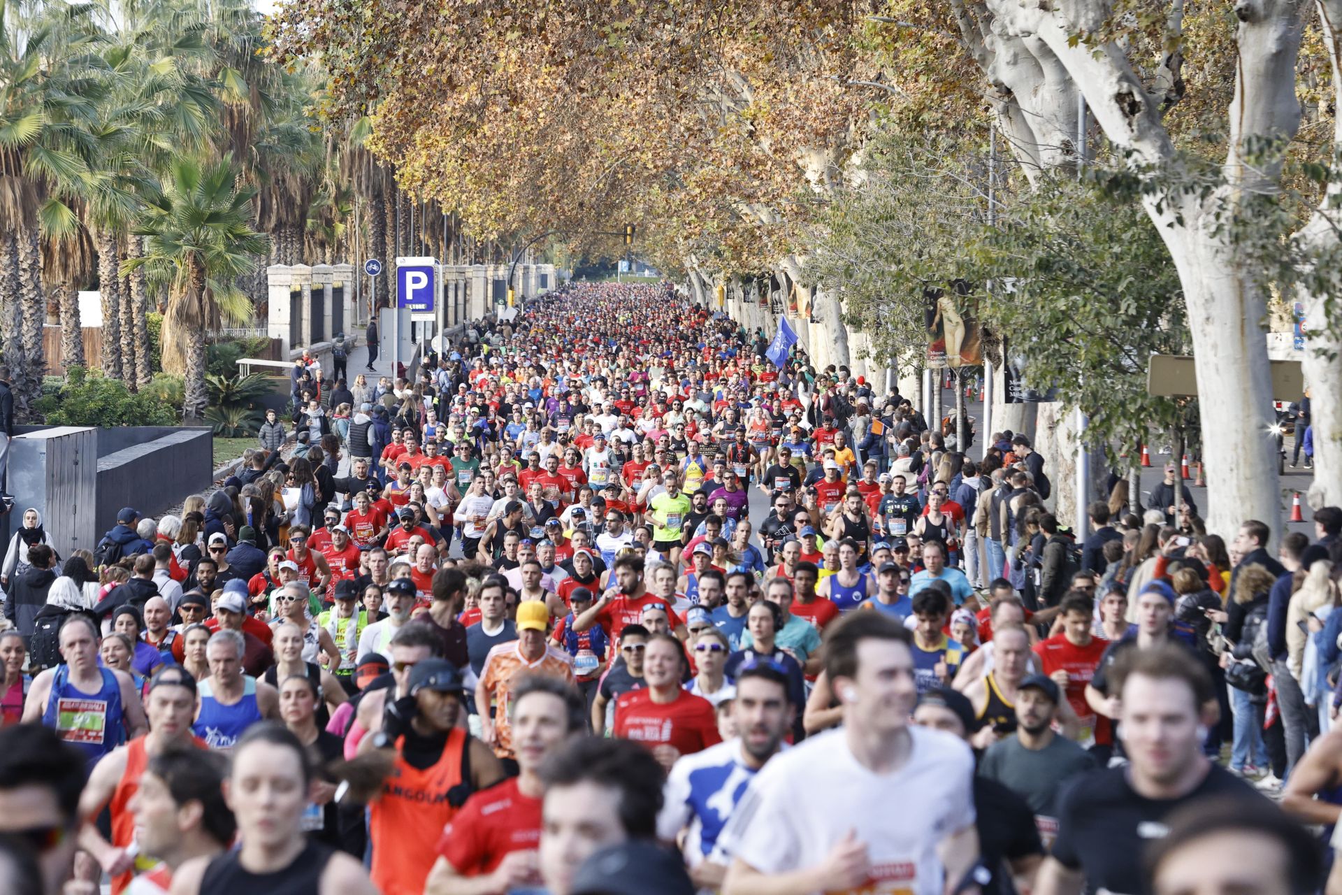 Las mejores imágenes del Generali Maratón de Málaga 2024