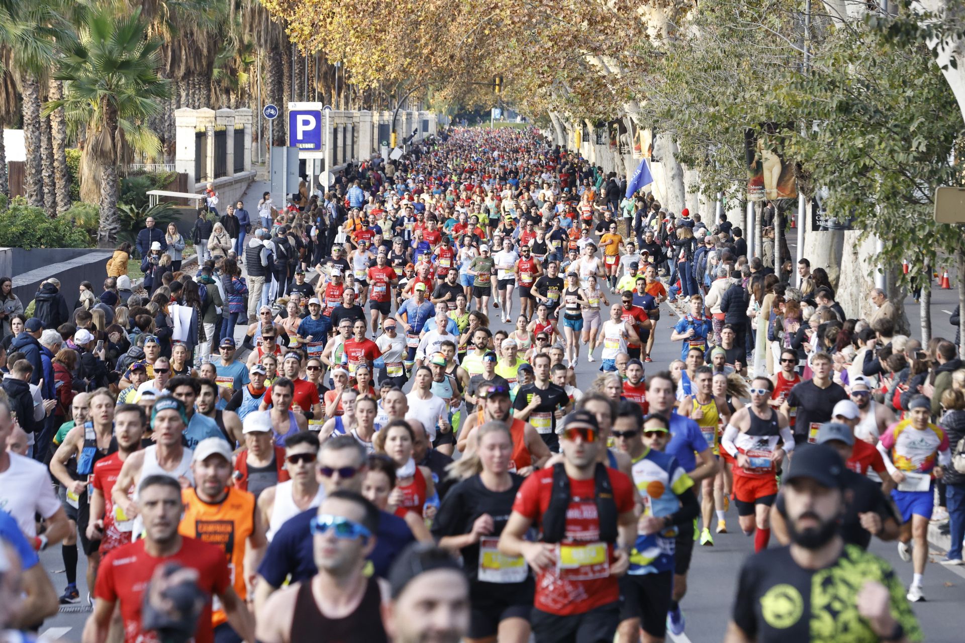 Las mejores imágenes del Generali Maratón de Málaga 2024