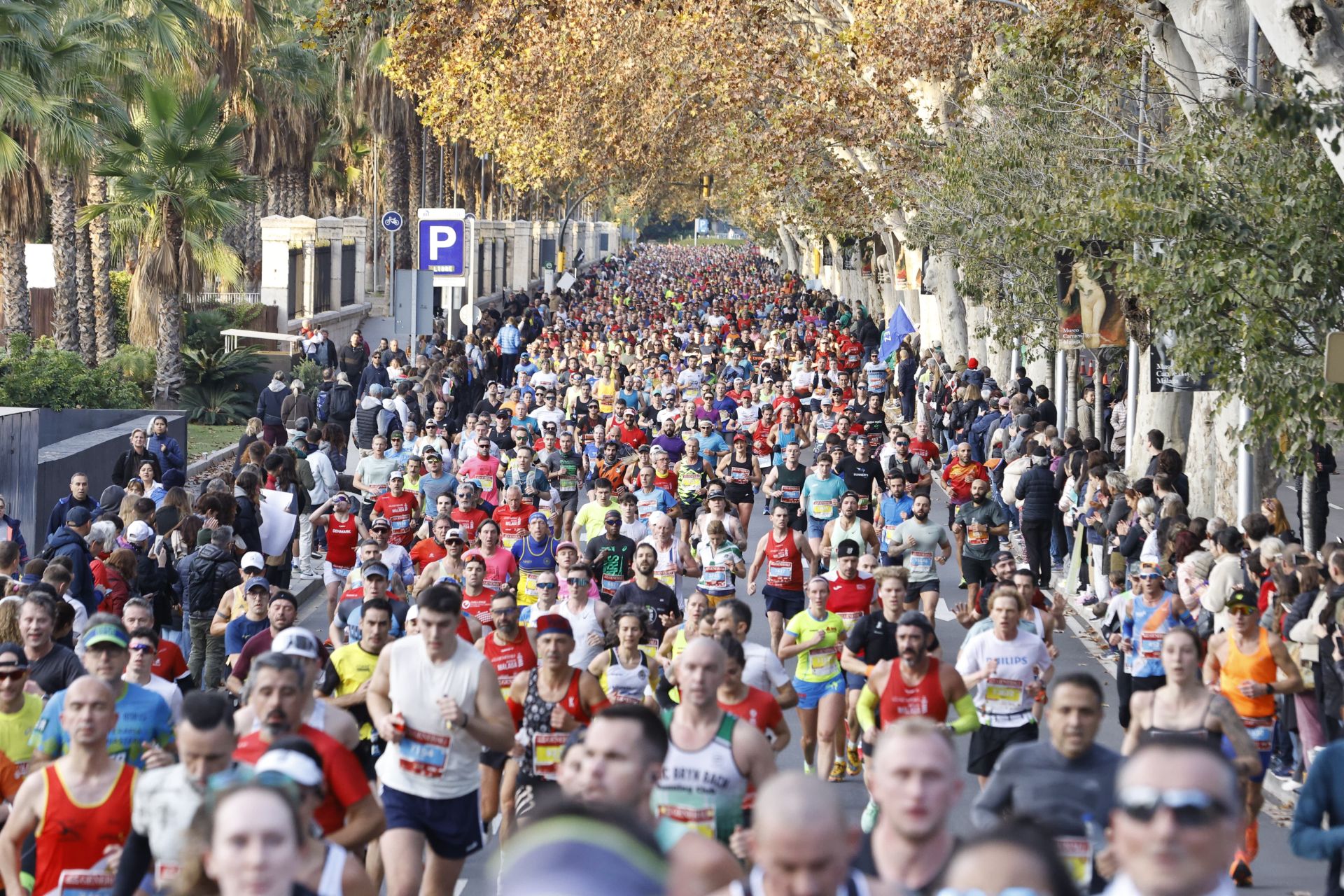 Las mejores imágenes del Generali Maratón de Málaga 2024