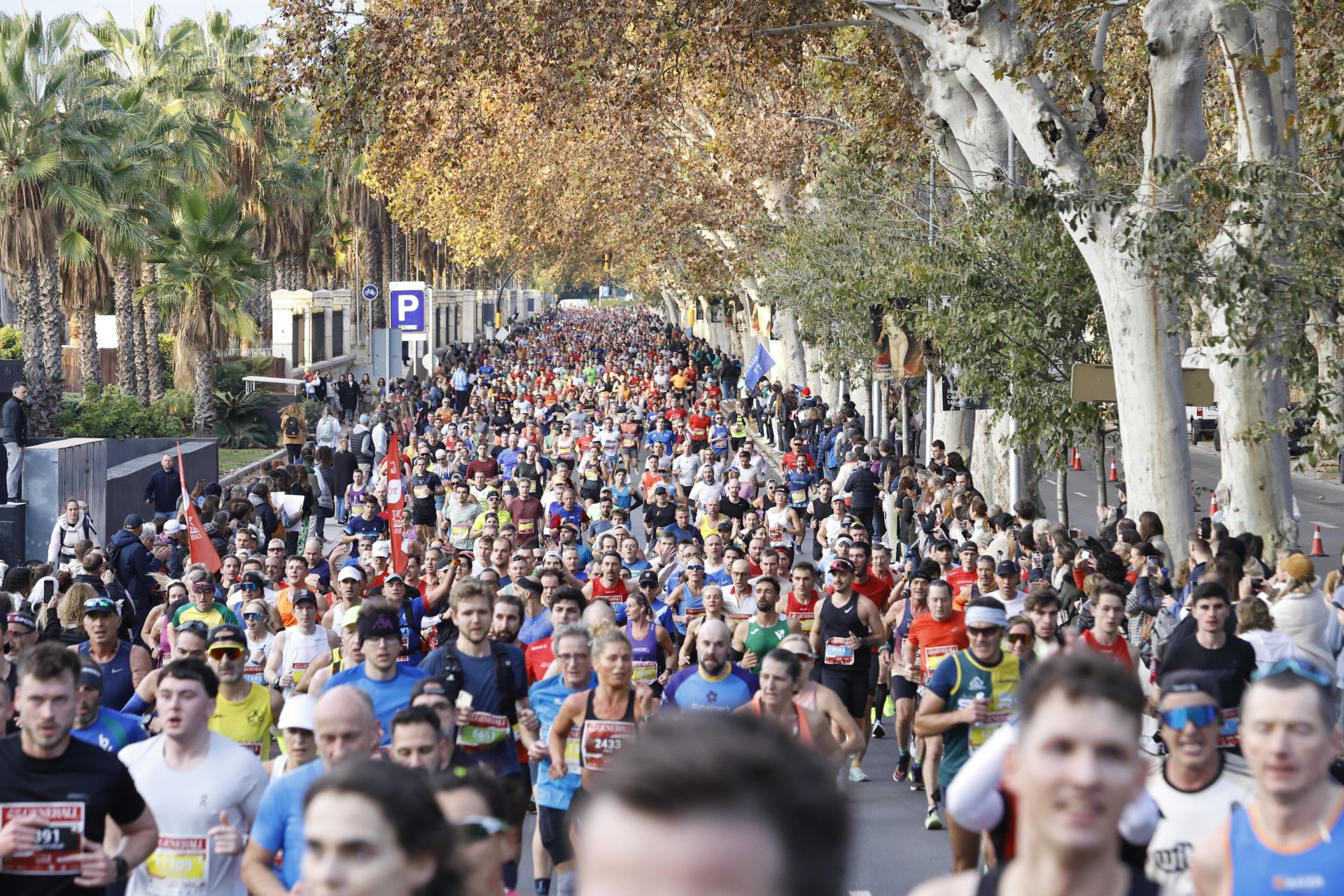 Las mejores imágenes del Generali Maratón de Málaga 2024