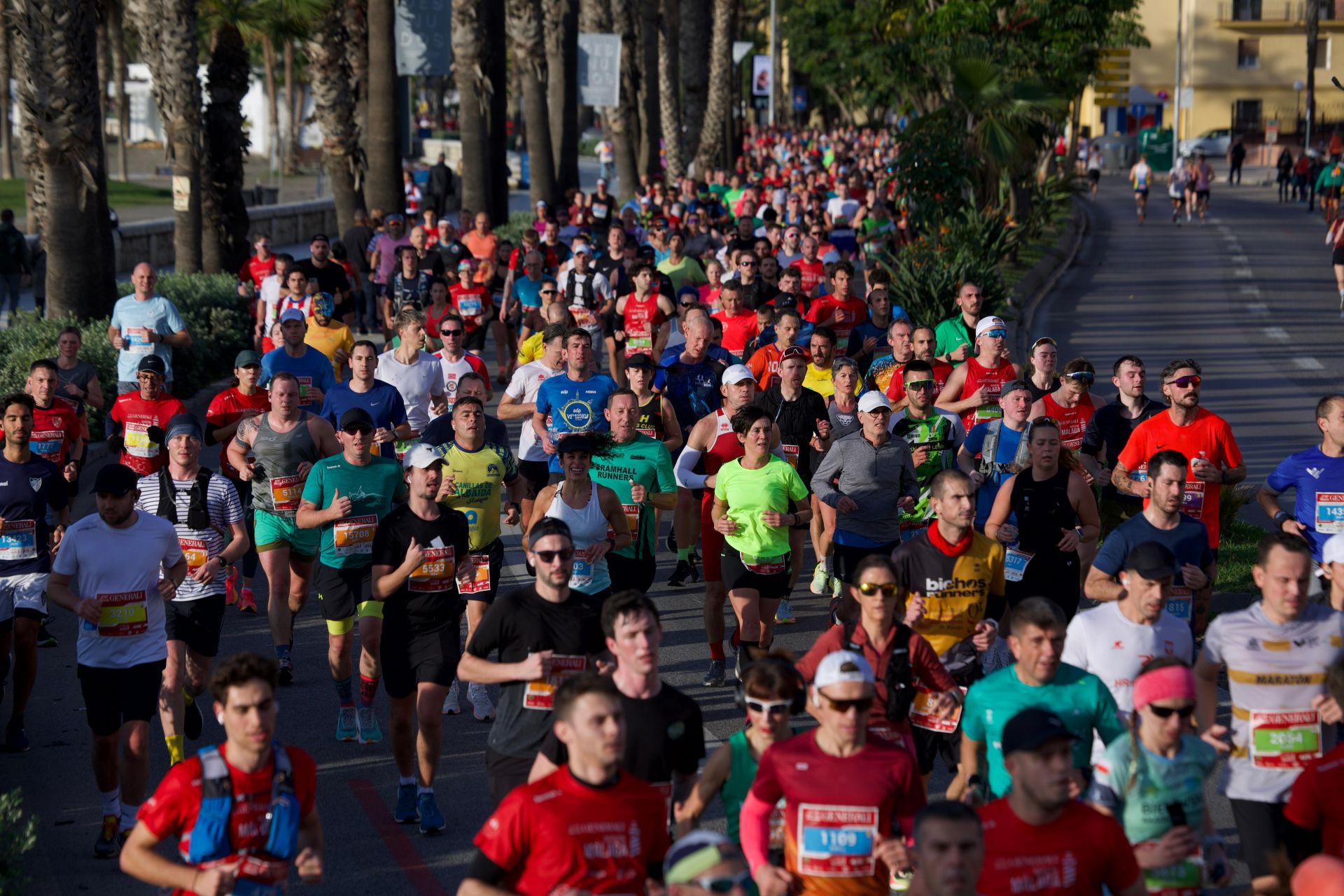 Las mejores imágenes del Generali Maratón de Málaga 2024