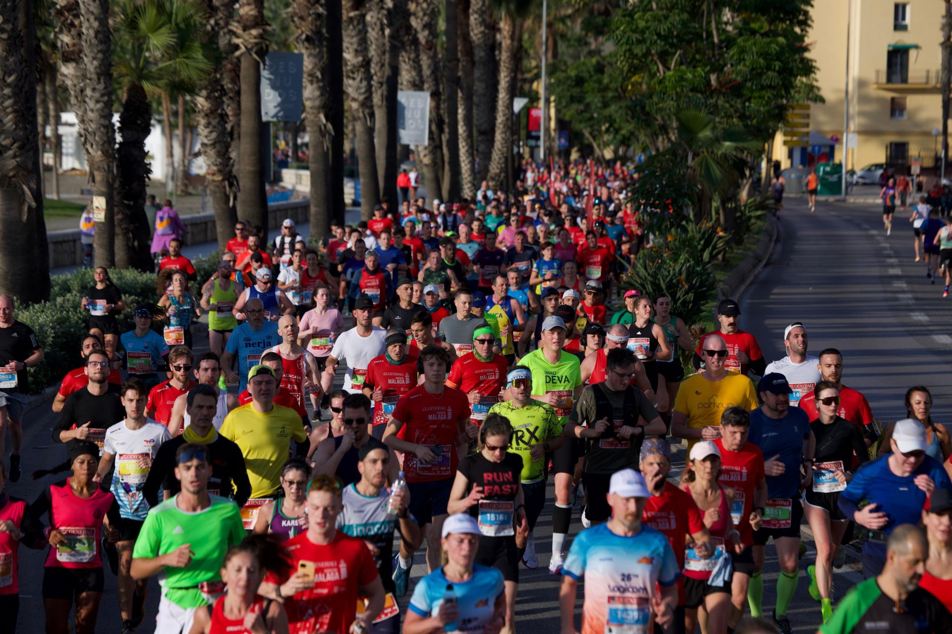 Las mejores imágenes del Generali Maratón de Málaga 2024