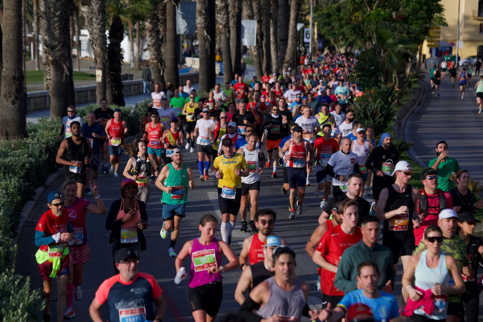 Las mejores imágenes del Generali Maratón de Málaga 2024