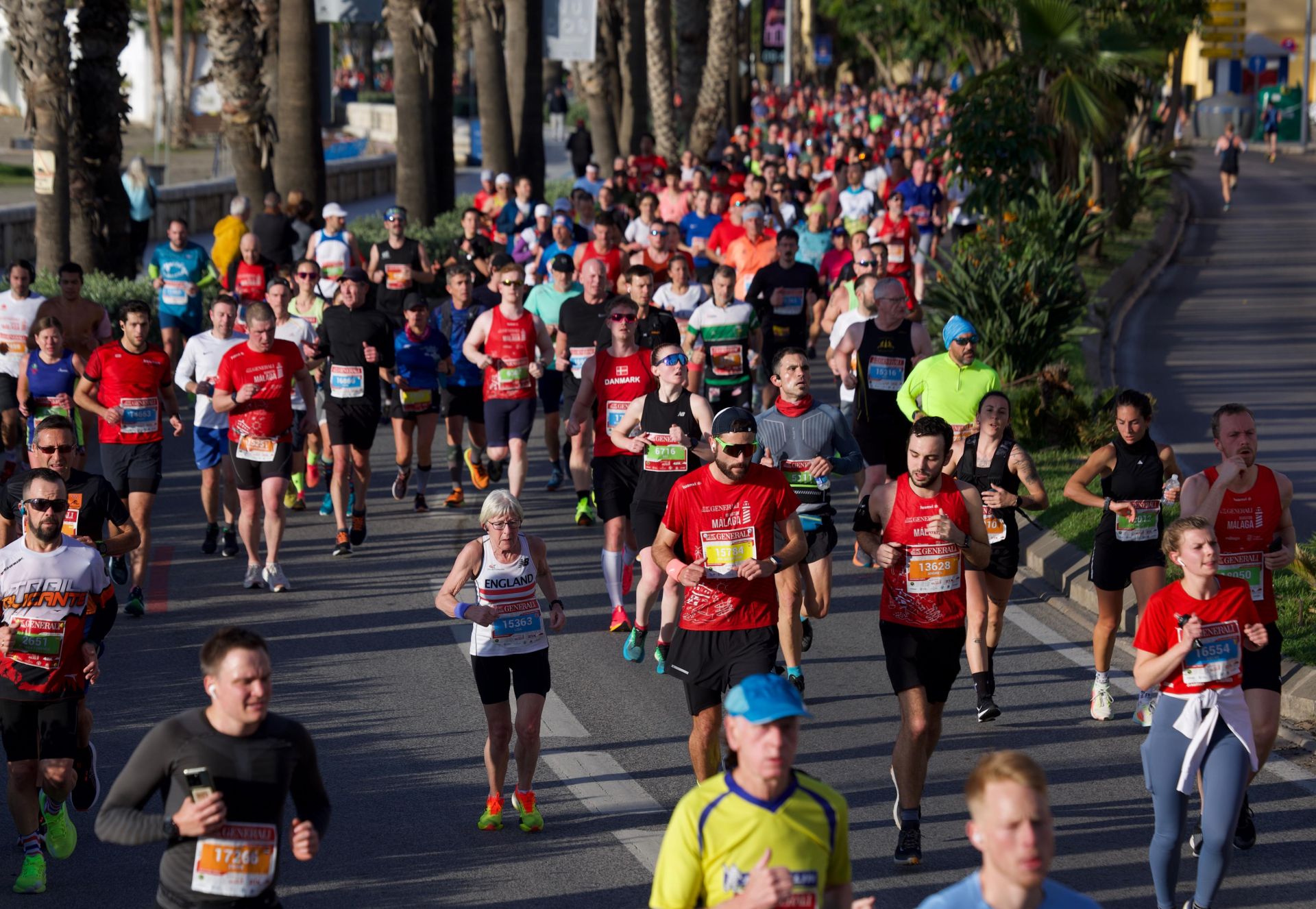 Las mejores imágenes del Generali Maratón de Málaga 2024