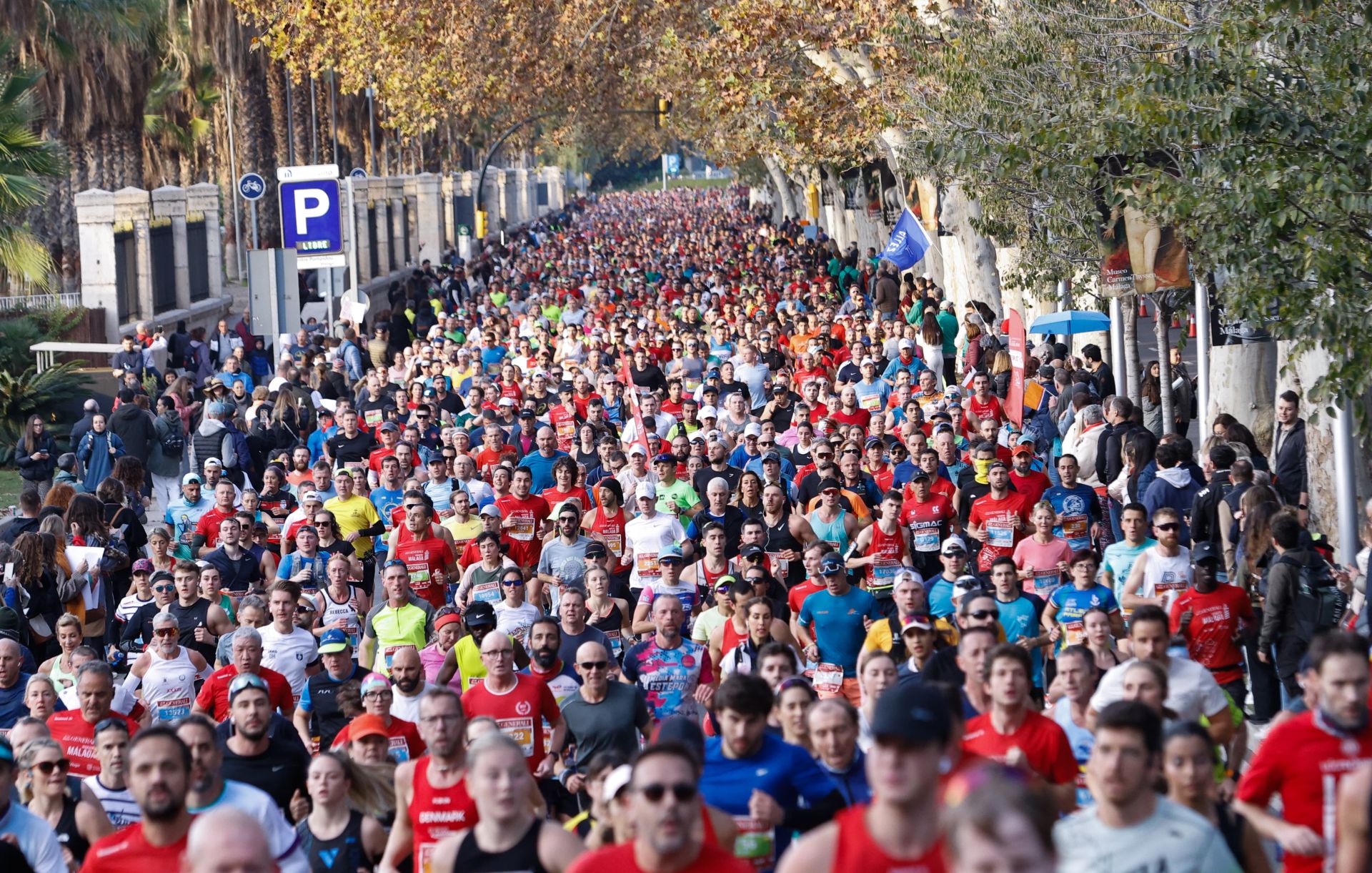 Las mejores imágenes del Generali Maratón de Málaga 2024