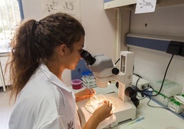 Una joven investigadora, en uno de los laboratorios de la Universidad de Málaga.