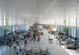 Vista de una de las zonas de puertas de embarque del aeropuerto de Málaga.