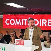 Juan Espadas, durante su intervención ante el Comité Director del PSOE-A.