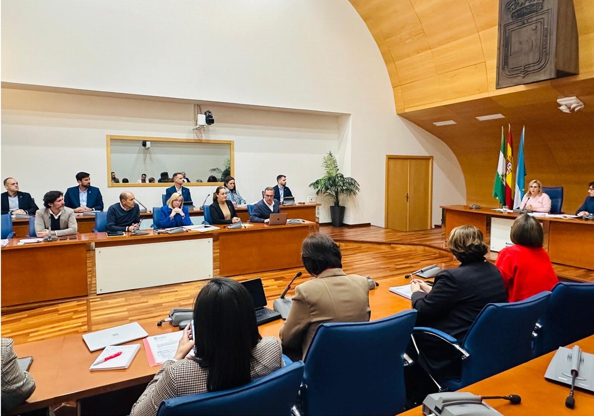 Sesión plenaria en el Ayuntamiento de Fuengirola.