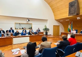 Sesión plenaria en el Ayuntamiento de Fuengirola.