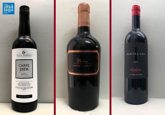 La cata: los vinos recomendados en la última semana de diciembre