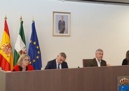 El alcalde, José María García Urbano, durante el pleno de Estepona.