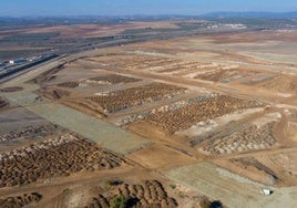 Terrenos donde está previsto el nuevo centro logístico en Antequera.