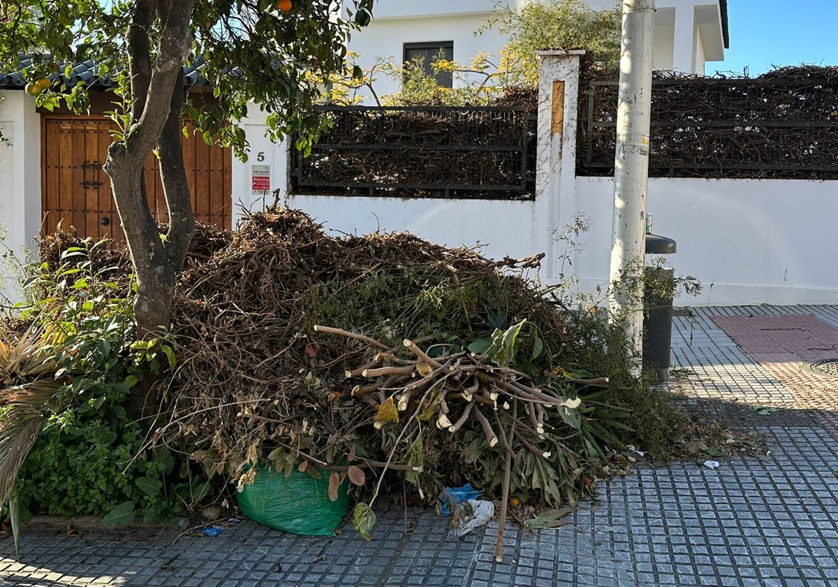 Podas en la Avenida San Isidro.