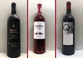 La cata | Los vinos destacados de la tercera semana de enero