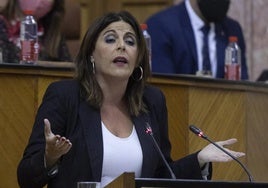 Ángeles Férriz, portavoz socialista en el Parlamento.