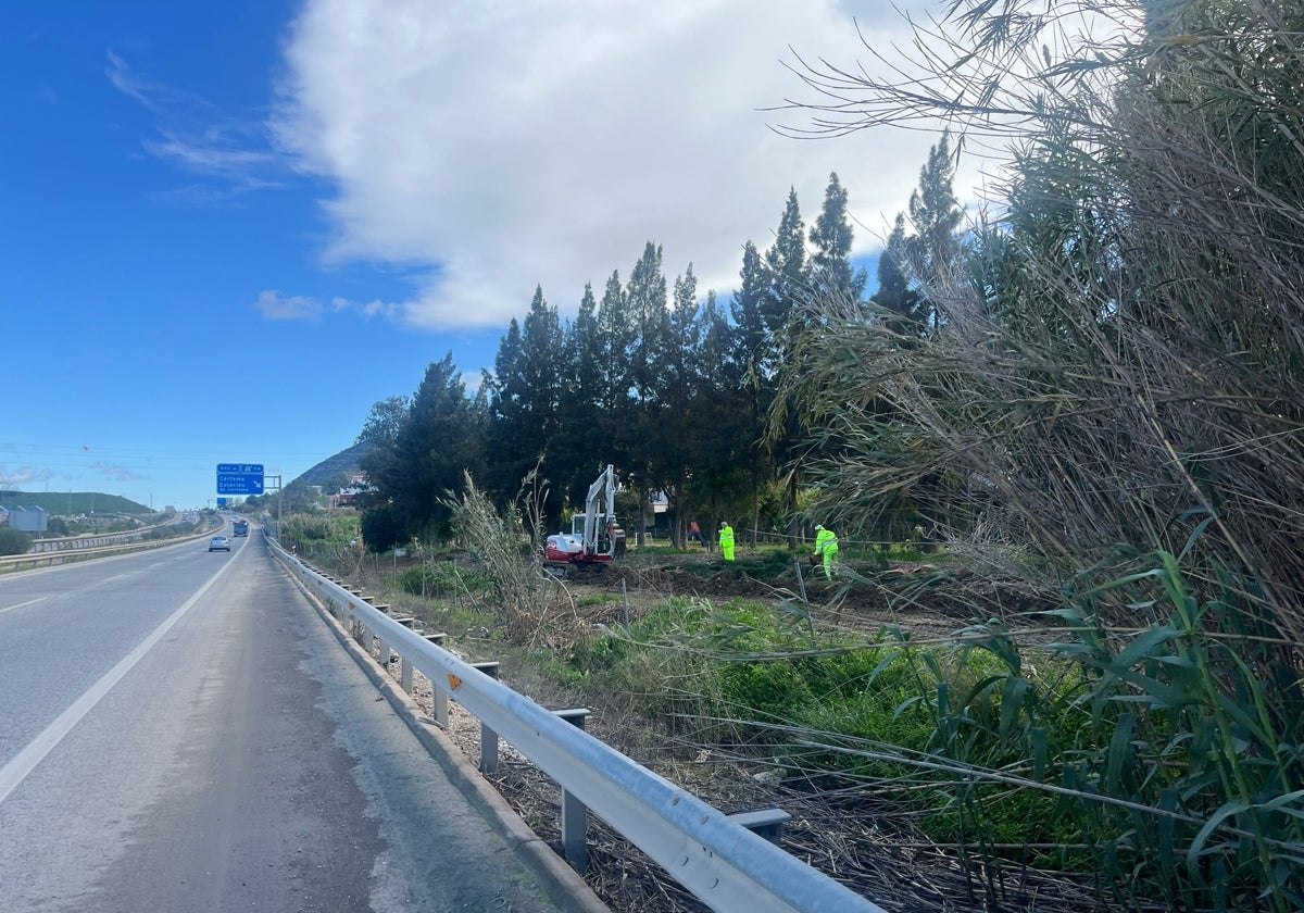 Trabajos de plantación en la A-357, a la altura de Cártama.