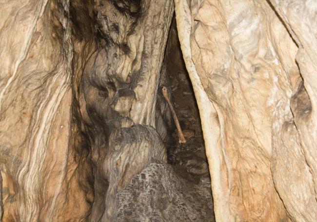 Fémur humano encontrado en las galerías altas de la Cueva de Ardales.