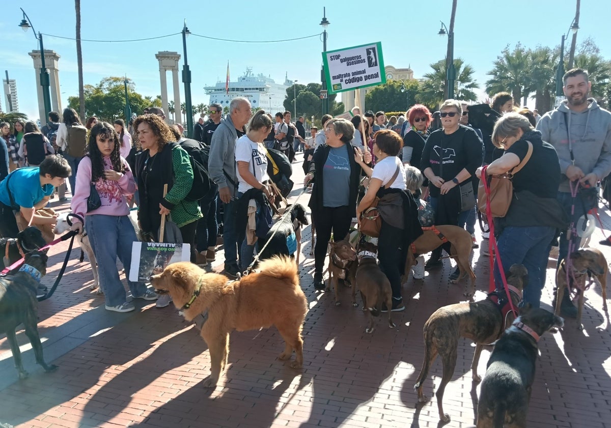 Imagen principal - Cientos de personas dicen no a la caza en Málaga: «La voz de los que no tienen»