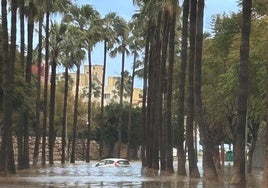 Coche atrapado en una balsa de agua en Benalmádena.