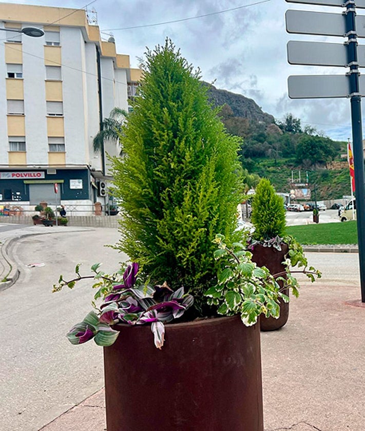 Imagen secundaria 2 - Varias zonas del municipio con las diferentes flores plantadas.