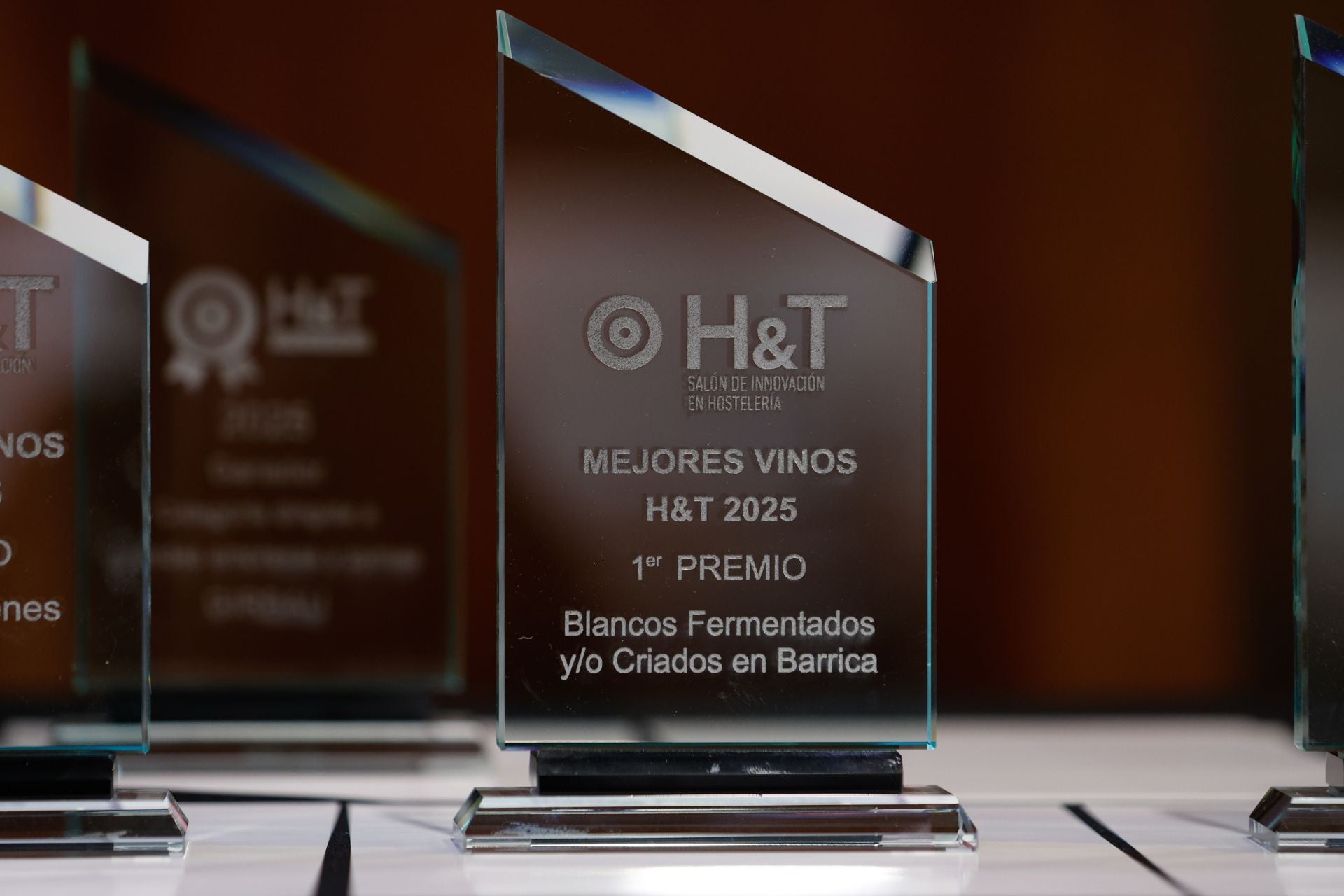 Entrega de premios del salón H&amp;T en Málaga