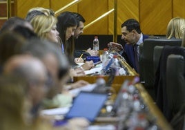 Juanma Moreno habla con el portavoz parlamentario del PP, Toni Martín, en un momento del debate.