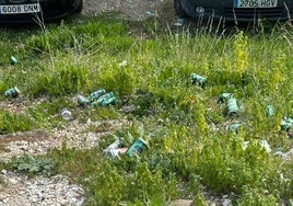 Latas en la zona denunciada en Los Almendrales.