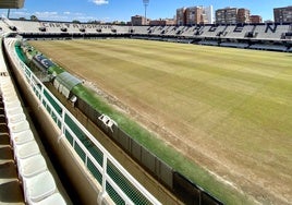 Cartagonova, el estadio del Cartagena, durante una resiembra del césped.