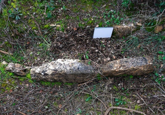 Pese a la maleza, las dos líneas paralelas de piedras marcan el estrecho espacio para un enterramiento.