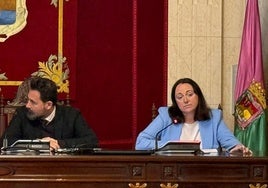 La concejala de Cultura, Mariana Pineda, durante una comparecencia la semana pasada en una comisión de pleno.