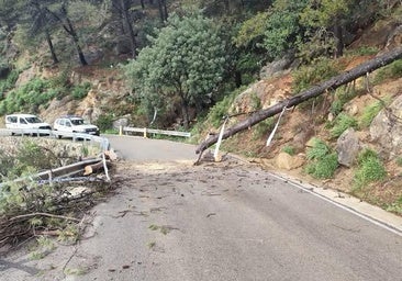 La tromba de esta madrugada desborda el río Turón por Ardales y deja caminos cortados en Casarabonela y Carratraca