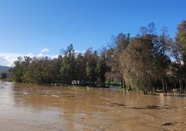 Aspecto el Guadalhorce esta tarde por Cártama.