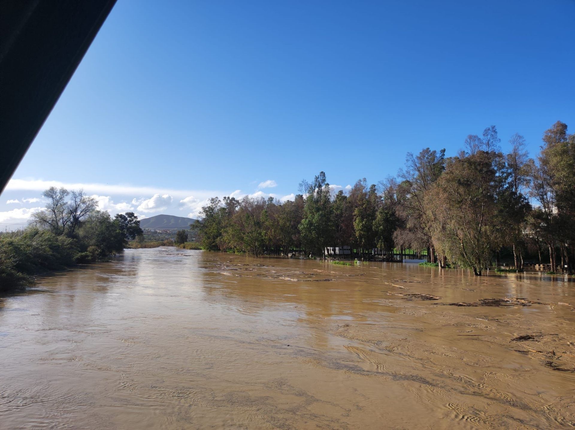 El río Guadalhorce, a su paso por Cártama