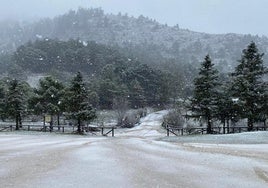 Imagen de la nevada en el parque nacional de la Sierra de las Nieves.