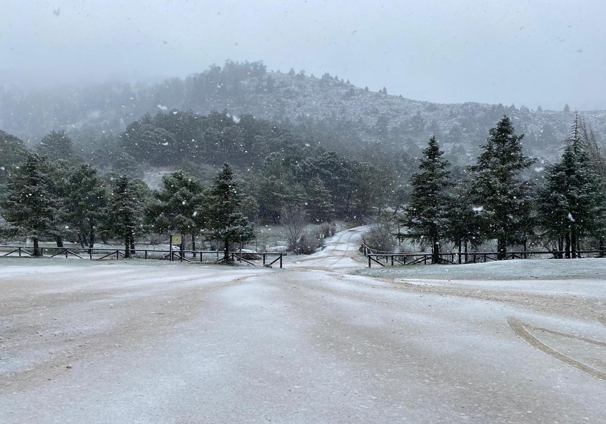 Imagen de la nevada en el parque nacional de la Sierra de las Nieves.