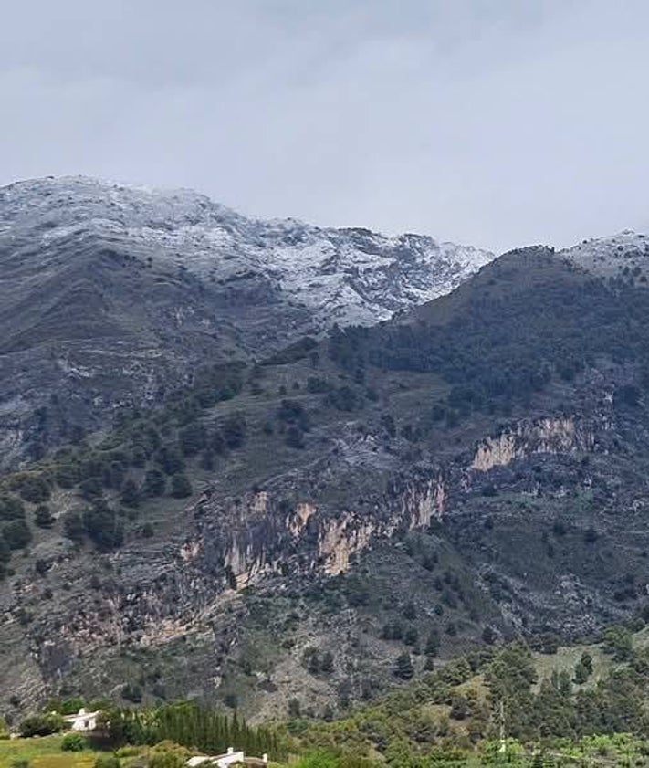 Imagen secundaria 2 - Tres imágenes de las cumbres de la Axarquía cubiertas de nieve, captadas este domingo desde Nerja y Canillas de Aceituno.