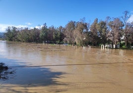 Aspecto del río Guadalhorce a su paso por Cártama.