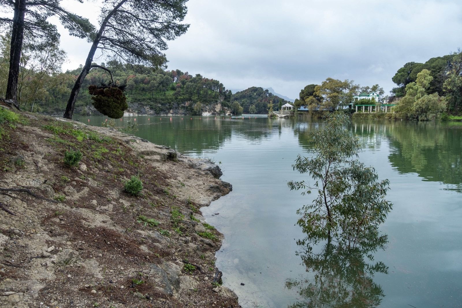 En esta imagen, captada este martes 11 de marzo, se observa hasta qué punto ha subido el agua hacia los pinos y cómo el árbol en primer término ha quedado sumergido.