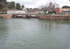 Imagen tomada esta misma semana en el embalse del Conde de Guadalhorce.