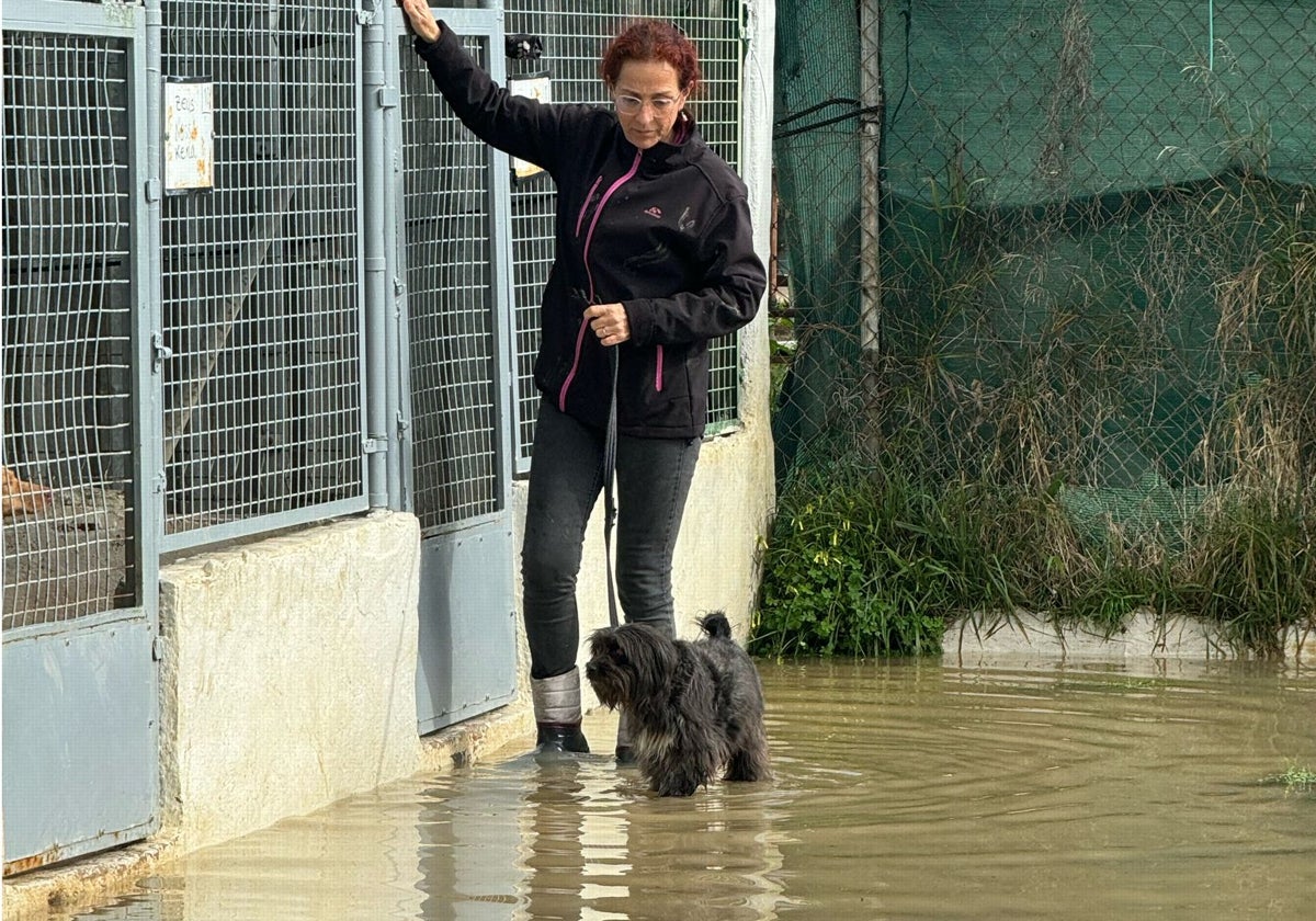 Una voluntaria de la asociación saca a uno de los perros del refugio.