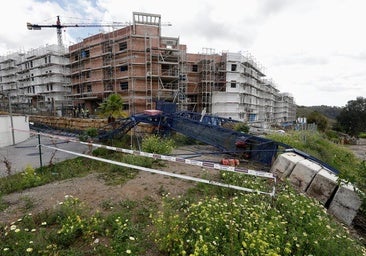 Cae una grúa de 40 metros sobre una urbanización nueva del Limonar